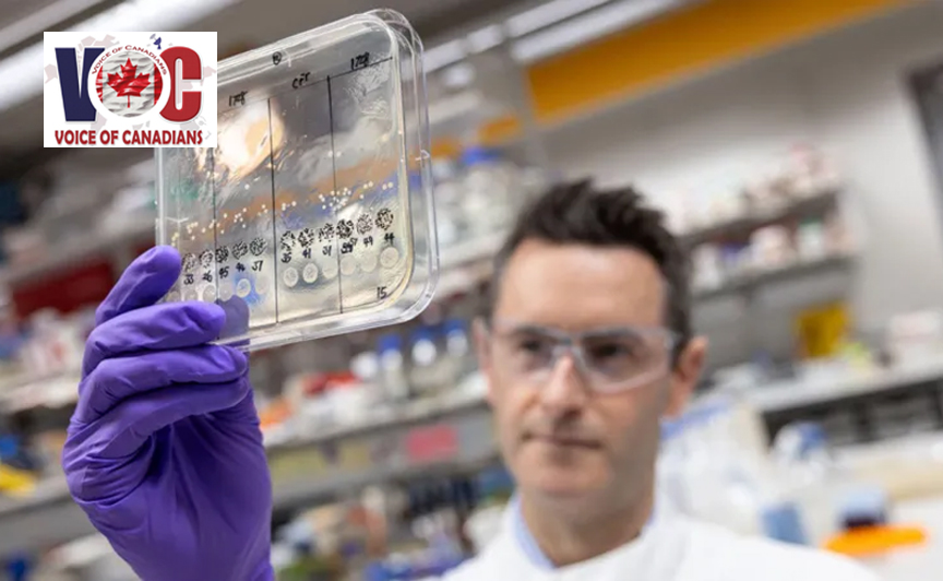 Major UK project launched to tackle drug-resistant superbugs with AI