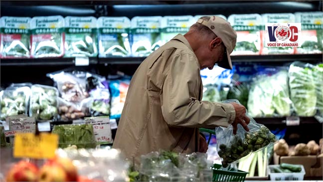 Canada’s grocery code of conduct kicks in today, with buy-in from 5 major grocers