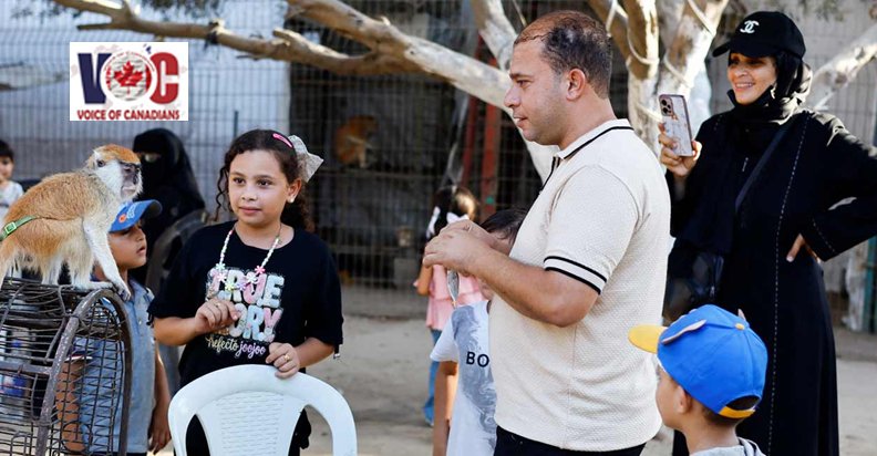 At a Gaza zoo, war takes its toll on the animals