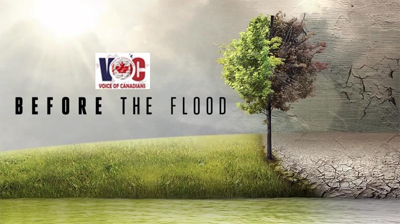 Before the flood